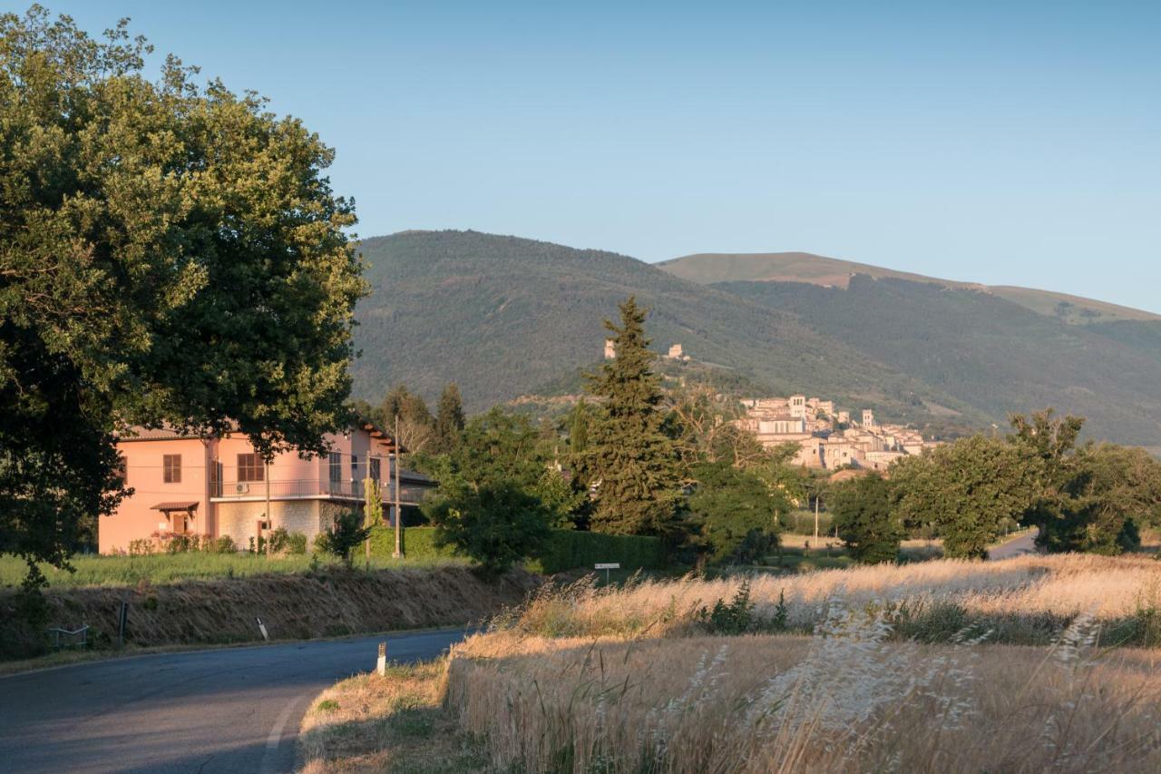 Bed & Breakfast Al Pian D'Assisi Eksteriør bilde