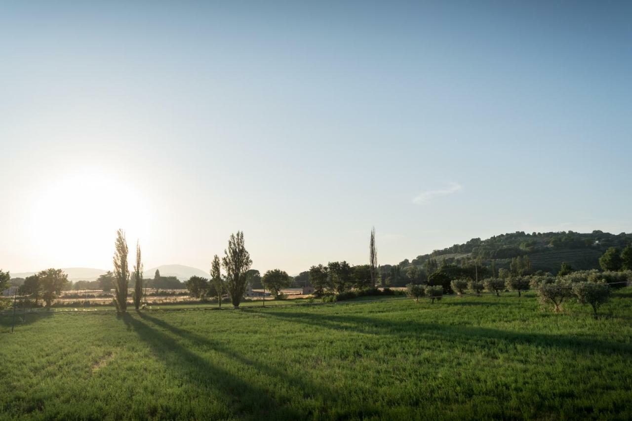Bed & Breakfast Al Pian D'Assisi Eksteriør bilde
