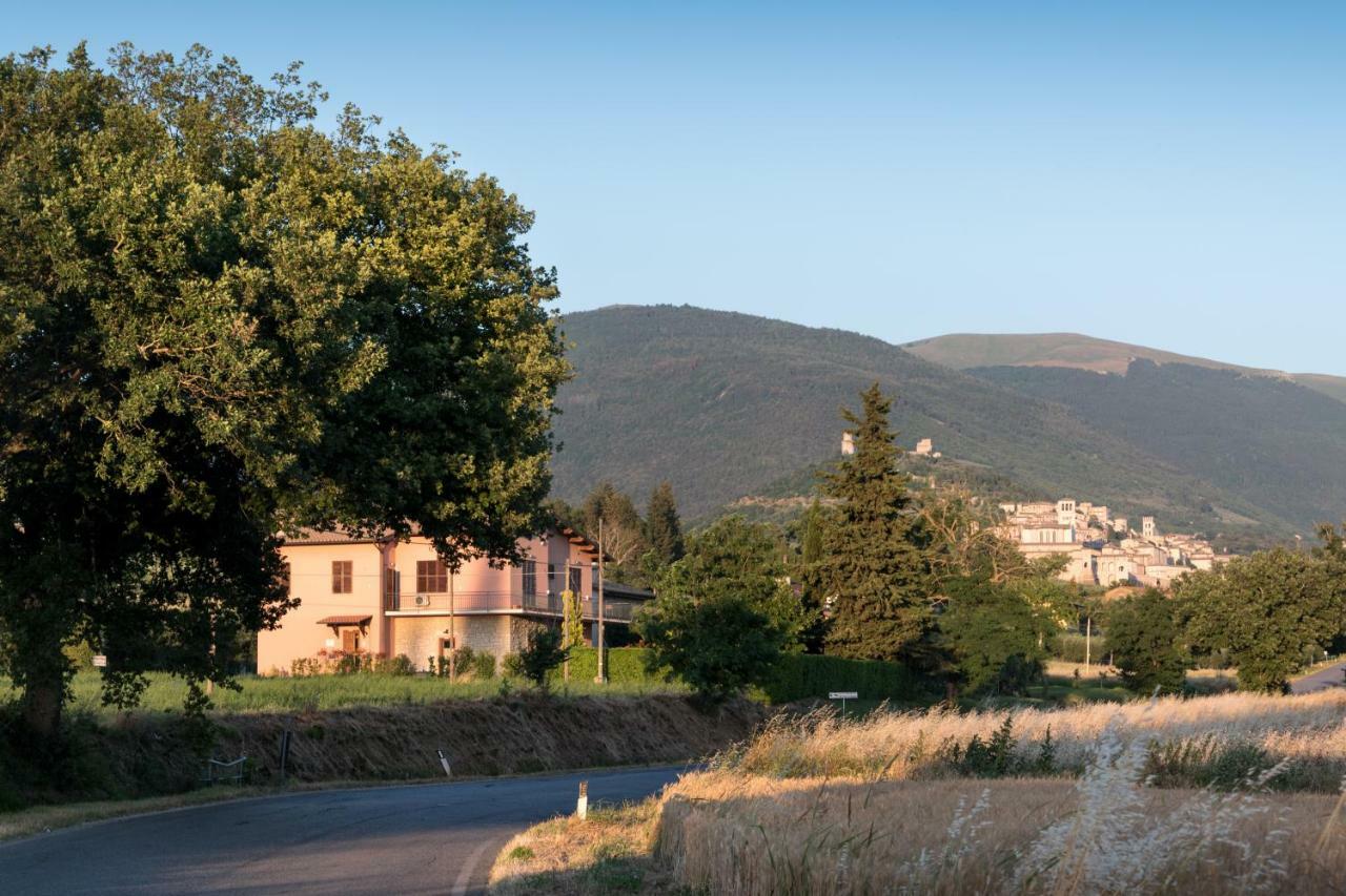 Bed & Breakfast Al Pian D'Assisi Eksteriør bilde